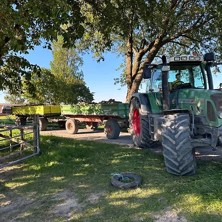 Apartman Bruns - Hof 1