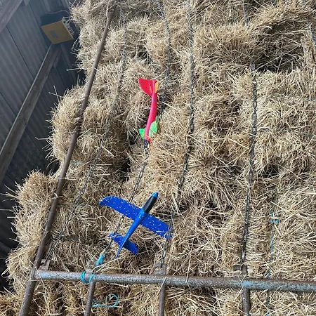 Bruns - Hof 1 Apartman Butjadingen