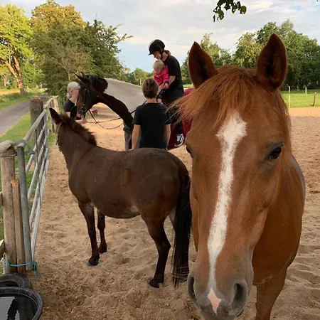 Apartman Bruns - Hof 1