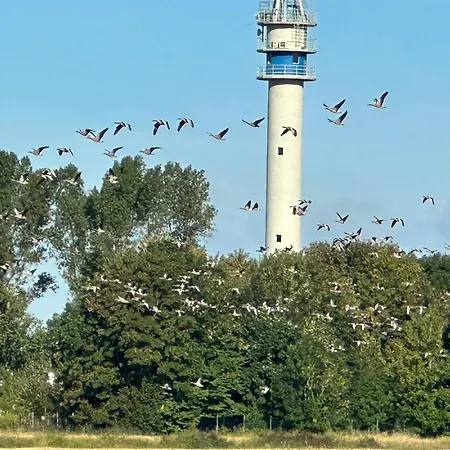 Apartman Bruns - Hof 1 Butjadingen