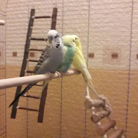 Bruns - Hof 1 Apartman *