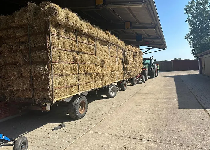 Appartement Bruns - Hof 1 Butjadingen