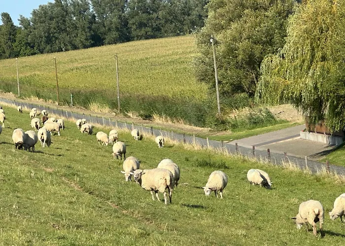Appartement Bruns - Hof 1