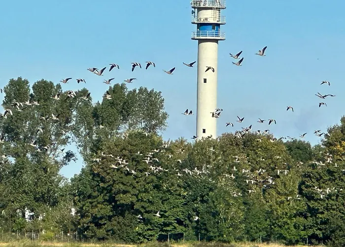 Appartement Bruns - Hof 1 Butjadingen