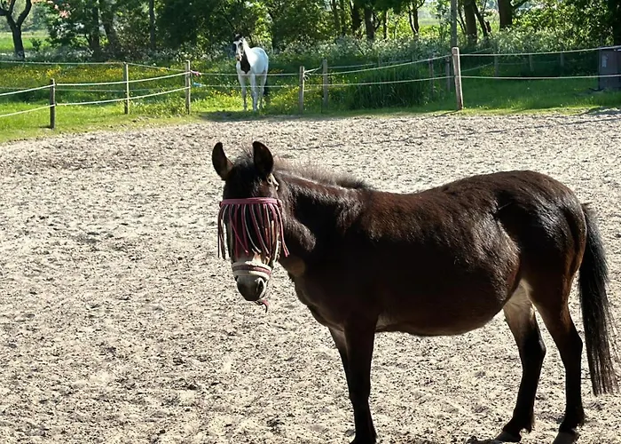 Bruns - Hof 1 * Butjadingen