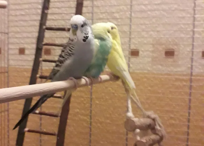 Bruns - Hof 1 Appartement *